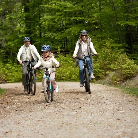 Platinum Mountain Hotel&spa Отель 5*