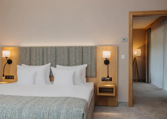 Platinum Mountain Hotel&spa Шклярска-Поремба