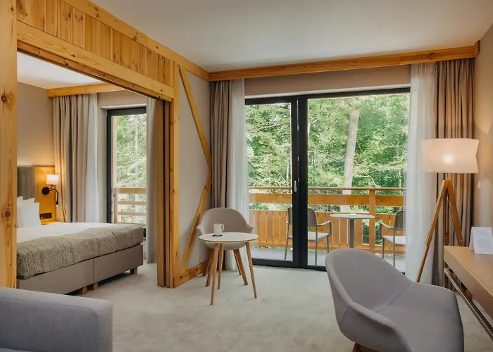 Отель Platinum Mountain Hotel&spa Шклярска-Поремба